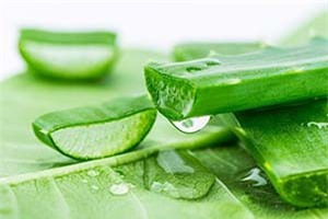 Clip: Hướng dẫn làm sữa rửa mặt từ nha đam trị mụn cực hiệu quả