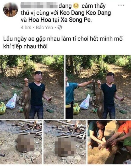 Công an làm việc với thanh niên khoe ảnh giết khỉ hoang dã trên Facebook