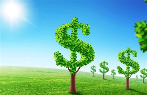 Sứ mạng doanh nghiệp xanh