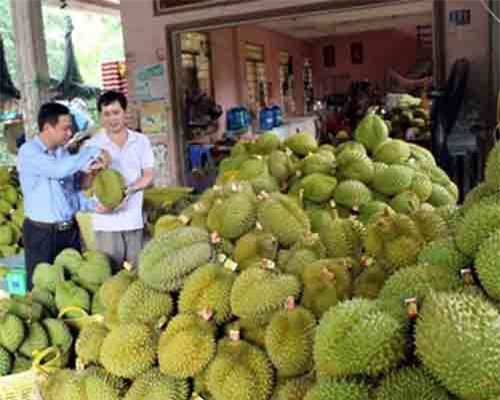 Xuất khẩu khởi sắc tạo động lực cho nhiều ngành kinh tế