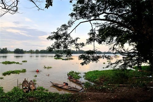 Búng Bình Thiên thông với sông Bình Di ở một con rạch nhỏ, nhưng không thông với sông Hậu. Ảnh: Diem Dang Dung.