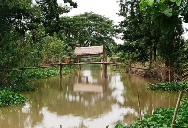 Khu nhà nghỉ của thầy giáo Quốc Phong nằm bên một con rạch ở phường Tân Qui Đông, TP Sa Đéc.