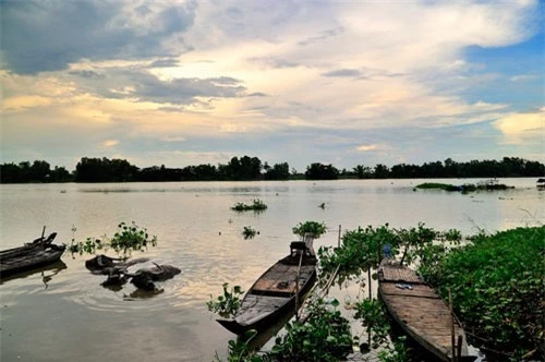 Búng Bình Thiên nằm ở phía Bắc huyện An Phú, thuộc khu vực giáp ranh của các xã Khánh An, Khánh Bình, Nhơn Hội, Quốc Thái. Ảnh: Diem Dang Dung.