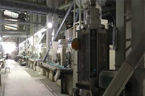 Cú hích cho nhà đầu tư vào ngành sản xuất gạo