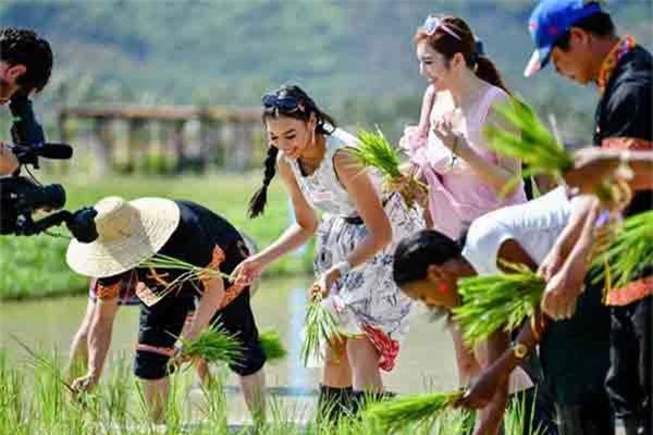 Dàn thí sinh Miss World hào hứng học cấy tại Công viên quốc gia lúa Tam Á ở đảo Hải Nam, Trung Quốc. Các cô gái không ngại xắn váy lội xuống ruộng để tự tay cấy từng cây mạ.