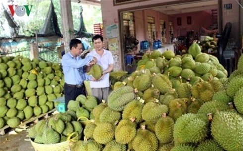 xuat khau khoi sac tao dong luc cho nhieu nganh kinh te hinh 1