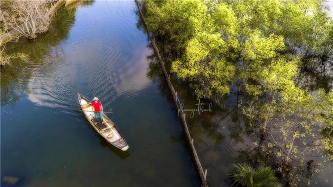 Đông về, rừng Rú Chá đẹp ma mị - Ảnh 5.