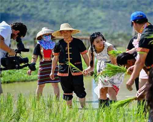 Các người đẹp Miss World học cấy lúa