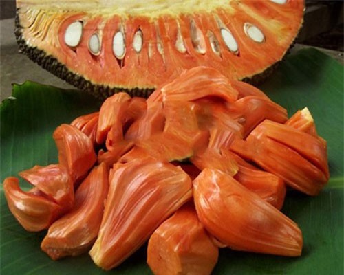 Cây mít có múi đỏ rực lạ nhất đất miền Tây