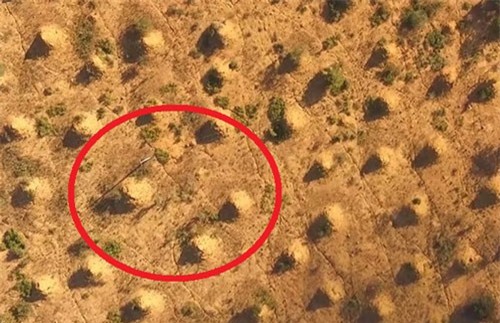 Công trình có lượng đất bằng 4.000 kim tự tháp Giza: Chủ nhân lại không phải con người?