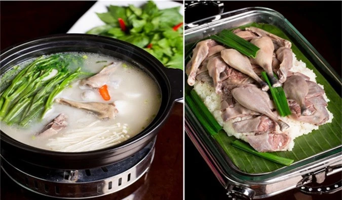 chim sâm cầm - món ăn giá tiền triệu có gì đặc biệt? hình 7 chim sam cam - mon an gia tien trieu co gi dac biet? hinh 7