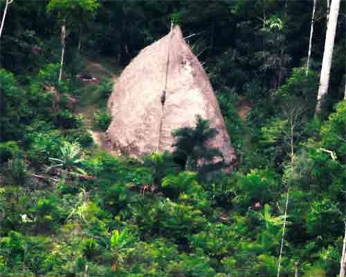 Một ngôi nhà của thổ dân khu vực thung lũng sông Javery trong rừng Amazon. Ảnh: FUNAI.
