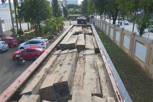 Đắk Lắk: Bắt giữ 2 xe tải lắp biển số giả vận chuyển hàng chục khối gỗ lậu