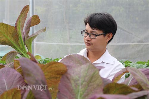 Cận cảnh: Trại rau thủy canh đẹp như phim của trai phố núi Sơn La