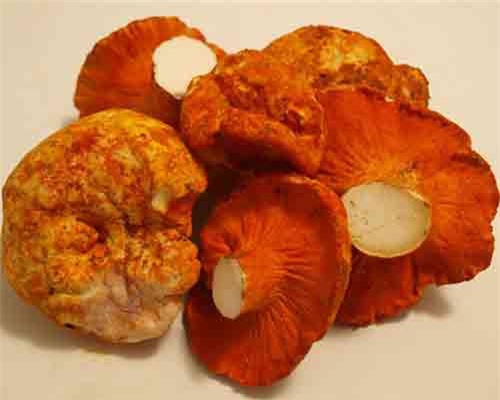 Khám phá cực choáng về nấm tôm hùm độc đáo