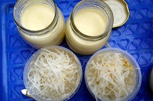 Clip: Hướng dẫn làm sữa chua trân châu cốt dừa ngon ‘nhức nhối’