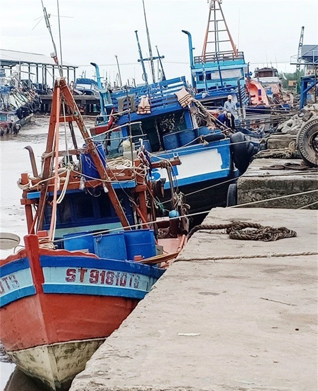 Nhiều tàu cá đã vào nơi tránh trú an toàn.