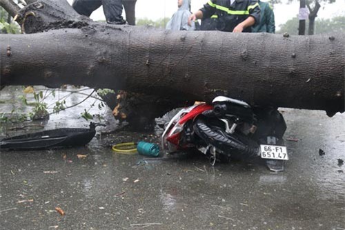 Đường ngập, cây xanh bật gốc đè người trong cơn bão số 9 tại TP Hồ Chí Minh