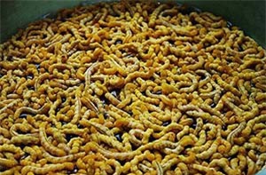 Đặc sản sâu chít Lào Cai giúp tăng cường sinh lực