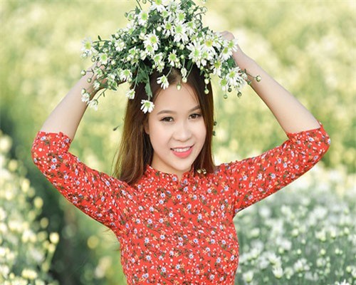 Cuối tuần gái xinh Hà Nội rủ nhau làm duyên với cúc họa mi