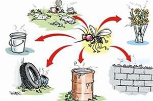 Nguyên nhân khiến sốt xuất huyết gia tăng vào mùa mưa