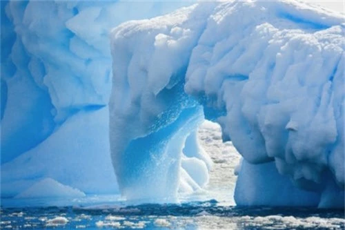 10 điều thú vị về hai vùng cực 