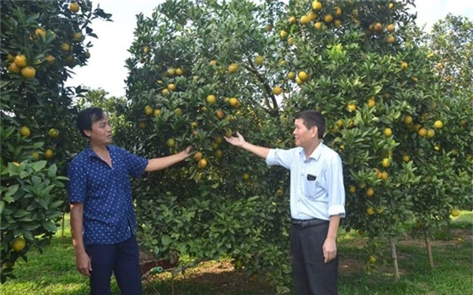 cam xu muong giup nhieu nong dan thanh ty phu hinh 1