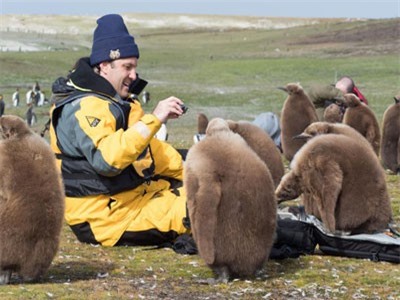 Thích thú với những con chim cánh cụt hoàng đế gần gũi người
