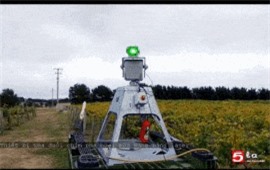 Clip: Thiết bị chiếu tia laser giúp xua đuổi chim phá hoại mùa màng