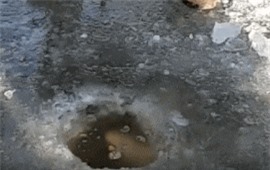 Clip: Nghệ thuật câu cá dưới lớp băng dày vô cùng chuyên nghiệp