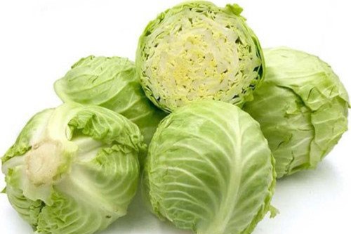 Những lý do để bạn ăn bắp cải nhiều hơn trong mùa đông này