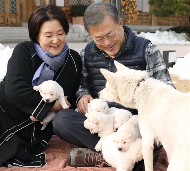  Tổng thống Hàn Quốc Moon Jae-in và phu nhân chơi đùa cùng những chú chó. (Ảnh: Twitter) 