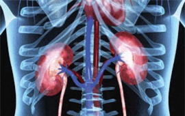 Clip: 9 dấu hiệu cảnh báo sớm của bệnh thận mãn tính