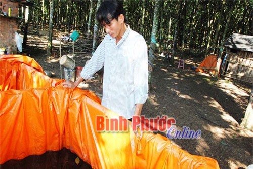 Nuôi lươn trong can nhựa, cho ăn trứng vịt trộn cám, kiếm bộn tiền