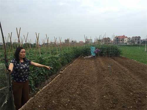 Hà Nội:  Lừa bán cho hàng xóm 1.400 m2 đất... của người khác