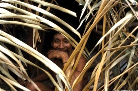  Một thành viên của bộ tộc Awá (Survival International) 