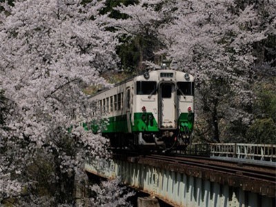 Chuyến tàu ở Nhật Bản vẫn di chuyển hàng ngày nhưng chỉ phục vụ duy nhất một hành khách