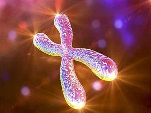 Lấy chồng 1 năm, người vợ bất ngờ khi biết mình là... 'đàn ông'