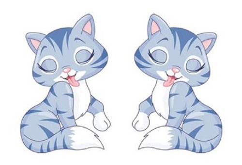 Dự đoán ngày mới (30/11) cho 12 con giáp: Tuổi Dần bi quan, tuổi Mão thư thái