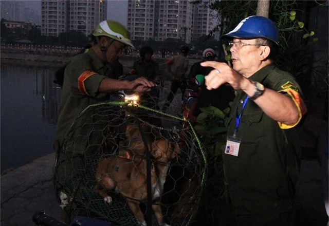  Sau đó khoảng 30 phút, 1 chú chó tại khu vực bờ hồ Đầm Hồng sa lưới 