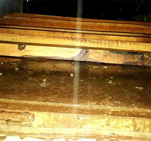 Quảng Nam: Phát hiện gỗ lậu trong kho Nhà máy thủy điện Sông Tranh 3