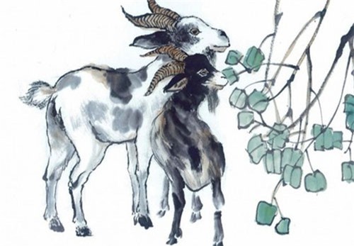 2019 là năm tam hợp của 3 con giáp này, đầu năm may mắn liên tiếp, giữa năm phát tài, cuối năm thịnh vượng sung túc