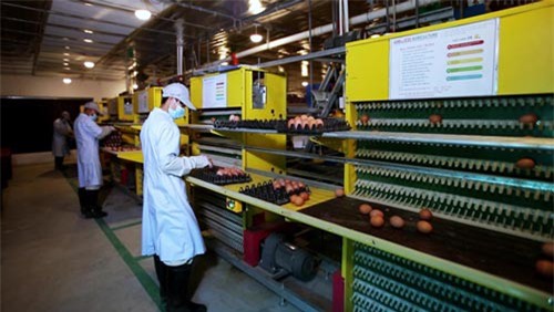 Tháo gỡ khó khăn đầu tư tín dụng trong nông nghiệp