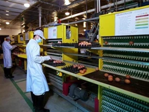 Tháo gỡ khó khăn đầu tư tín dụng trong nông nghiệp