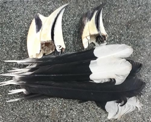 Tranh cãi “hồng hoàng hay cao cát?”: Đã có kết quả xác minh chính thức