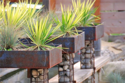 Gợi ý cách chọn chậu cây phù hợp theo nhu cầu sử dụng cho gia đình bạn