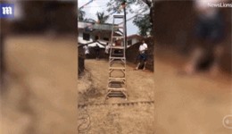 Clip: 'Sởn gai ốc' với chiếc thang gỗ 'biết đi' tại Ấn Độ