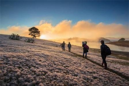 Trao thưởng cuộc thi ảnh online không chuyên Mùa hội cỏ hồng