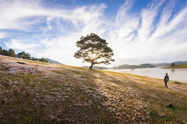 “Một buổi sáng lang thang đồi cỏ hồng, ngắm bình minh rực rỡ” của Phạm Ngọc Quang cũng giành giải ba