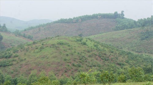 Vùng đại dự án hơn 4.500 tỷ đồng ngổn ngang, "chết lâm sàng"